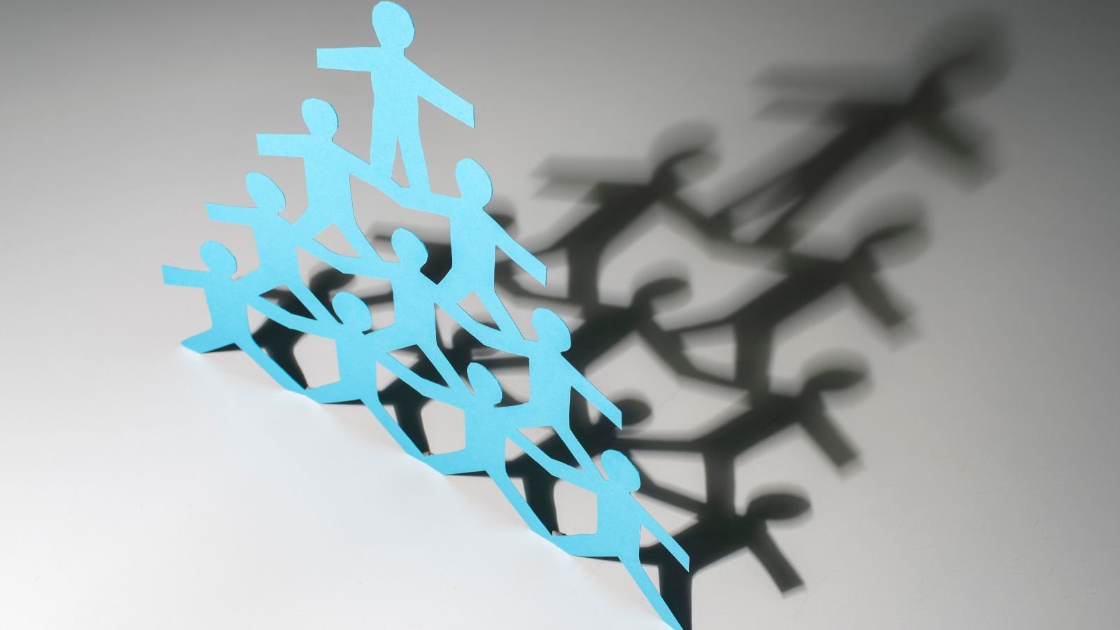 Organizational Transparency