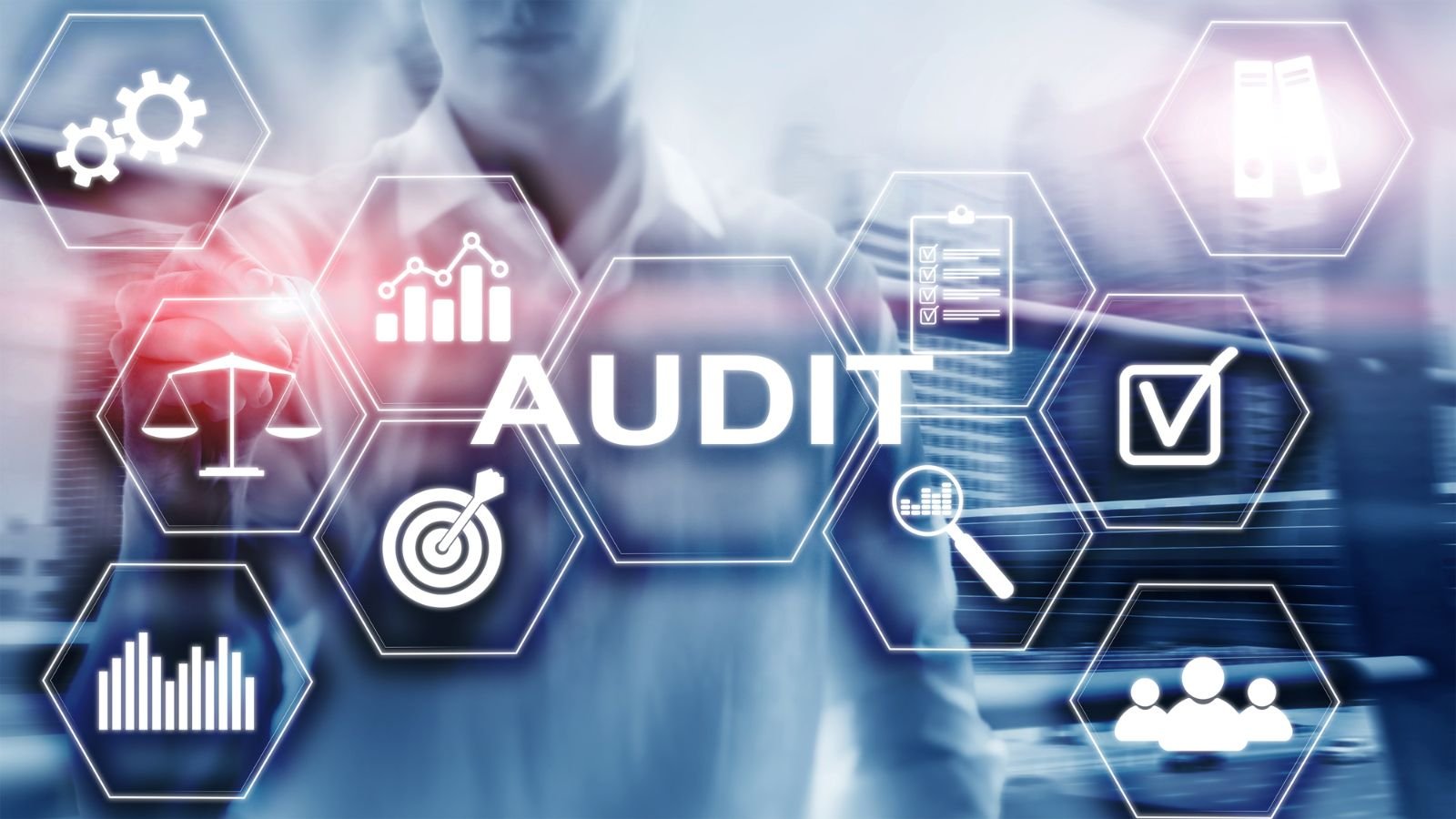 Business Financial Audits